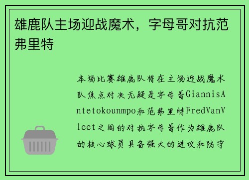 雄鹿队主场迎战魔术，字母哥对抗范弗里特